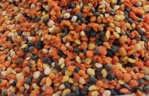 polen resmi